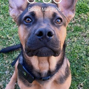 Meet your Posher, Aaron